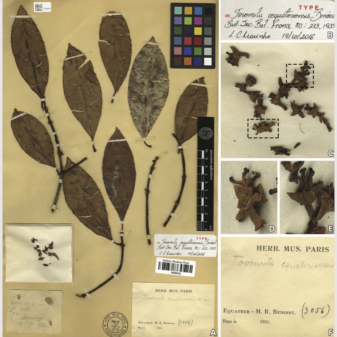 Fotografías de una muestra de herbario con varias partes de una planta, incluyendo hojas y flores, montadas en ella. Hay etiquetas y anotaciones que proporcionan información científica sobre el espécimen. La muestra incluye una etiqueta principal en la esquina inferior izquierda con texto manuscrito e impreso, etiquetas más pequeñas y un recuadro en la esquina superior derecha que muestra una vista ampliada de las flores de la planta.