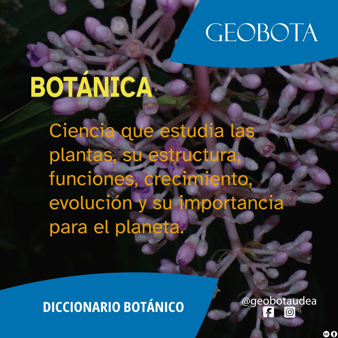 Imagen con el título «BOTÁNICA» en letras amarillas grandes. Debajo, en texto amarillo, se lee: «Ciencia que estudia las plantas, su estructura, funciones, crecimiento, evolución y su importancia para el planeta.» El fondo presenta una flor de tonos rosados y púrpuras. En la parte inferior derecha, están el logo de GEOBOTA y los íconos de las redes sociales del grupo.