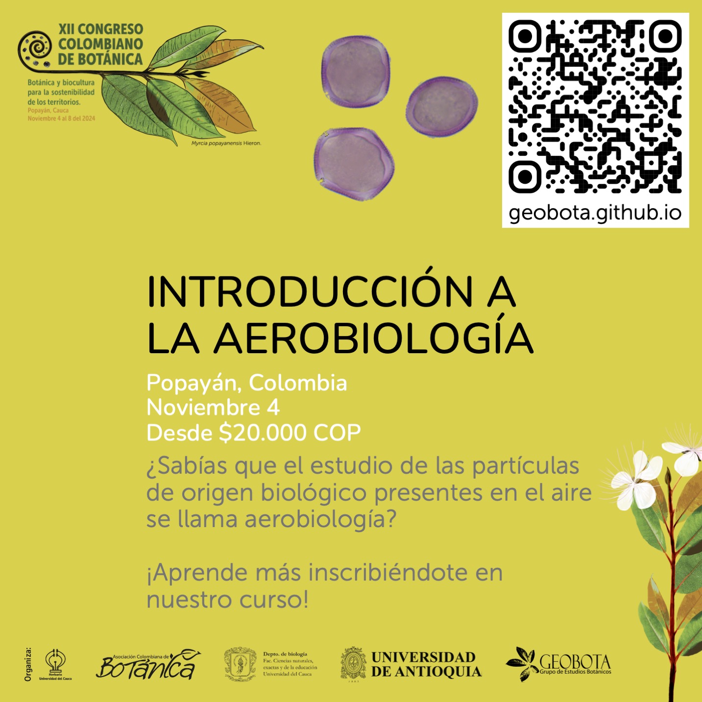 Imagen promocional del curso «Introducción a la Aerobiología» en el XII Congreso Colombiano de Botánica. En la parte superior izquierda, el logo del congreso, acompañado de imágenes de granos de polen. A la derecha, un código QR que dirige a la página web del curso. El texto central destaca dice: «Introducción a la aerobiología. Popayán, Colombia. Noviembre 4. Desde $20.000 COP. ¿Sabías que el estudio de las partículas de origen biológico presentes en el aire se llama aerobiología? ¡Aprende más inscribiéndote en nuestro curso!». En la parte inferior, aparecen los logos de las instituciones organizadoras.