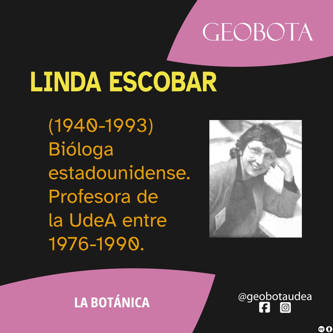 Imagen de fondo oscuro con detalles en tonos rosados y amarillos. En la parte superior izquierda, se encuentra el logo de GEOBOTA. A la derecha, en letras grandes y amarillas, se lee «Linda Escobar». Debajo, el texto: «(1940-1993) Bióloga estadounidense. Profesora de la UdeA entre 1976-1990.» A la derecha, una fotografía en blanco y negro de Linda Escobar, sonriendo, con gafas y el rostro apoyado en su mano. En la parte inferior, se observa la leyenda «La Botánica» y los íconos de las redes sociales @geobotauadea en Instagram y Facebook.