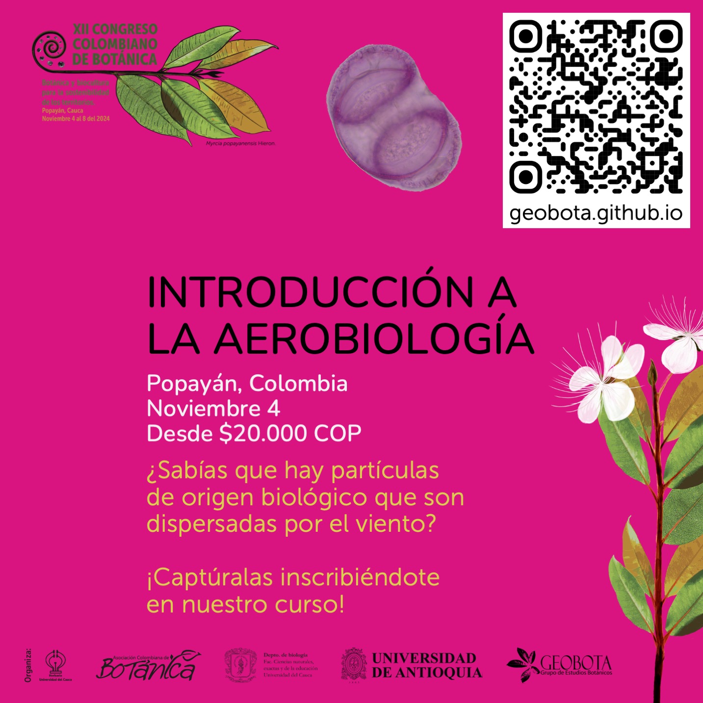 Imagen con fondo magenta vibrante que promociona el curso «Introducción a la Aerobiología» que se realizará en Popayán, Colombia, el 4 de noviembre de 2024, como parte del XII Congreso Colombiano de Botánica. En la parte superior izquierda, se observa el logo del congreso acompañado de una ilustración de hojas de Myrcia popayanensis. A la derecha, un código QR proporciona acceso directo a más información sobre el curso en el sitio web geobota.github.io. En el centro, en texto negro: «INTRODUCCIÓN A LA AEROBIOLOGÍA. Popayán, Colombia. Noviembre 4. Desde $20.000 COP. ¿Sabías que hay partículas de origen biológico que son dispersadas por el viento? ¡Captúralas inscribiéndote en nuestro curso!». Al fondo, a la derecha, aparece una ilustración de una planta con flores blancas y delicadas hojas verdes.