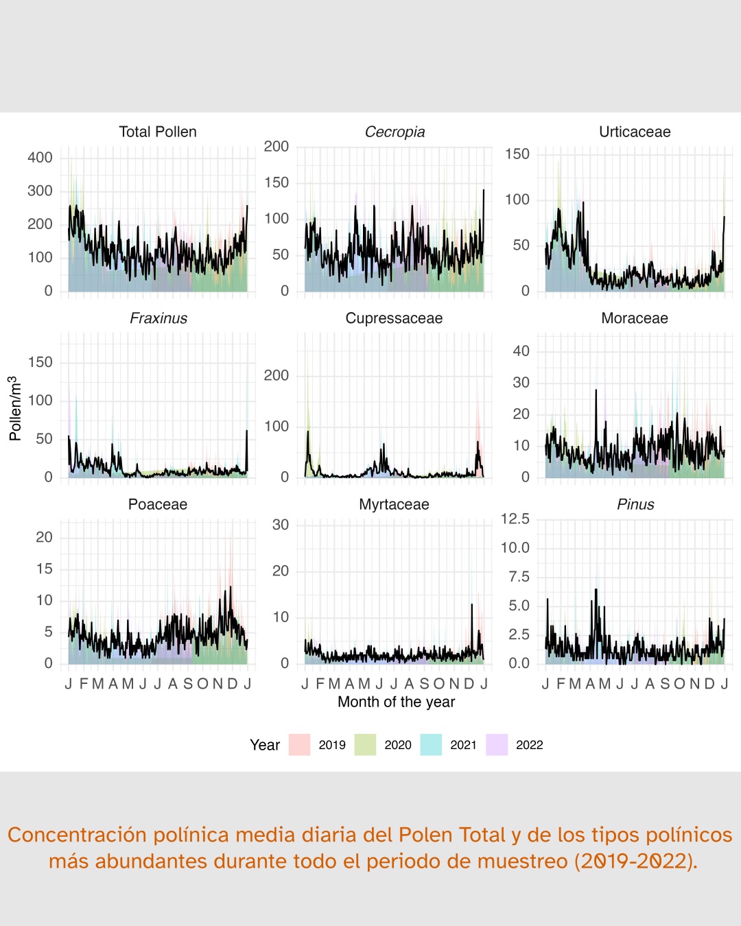 Nueve gráficos lineales que muestran la concentración media diaria de polen de varios tipos de polen durante el periodo de 2019 a 2022. Cada gráfico representa un tipo diferente de polen: Polen Total, Cecropia, Urticaceae, Fraxinus, Cupressaceae, Moraceae, Poaceae, Myrtaceae y Pinus. El eje x de cada gráfico representa los meses del año (E, F, M, A, M, J, J, A, S, O, N, D), y el eje y representa la concentración de polen en polen/m³. Los gráficos utilizan diferentes colores para representar diferentes años: rosa para 2019, verde para 2020, amarillo para 2021 y azul para 2022. El texto en la parte inferior de la imagen está en español y dice: «Concentración polínica media diaria del Polen Total y de los tipos polínicos más abundantes durante todo el periodo de muestreo (2019-2022).»