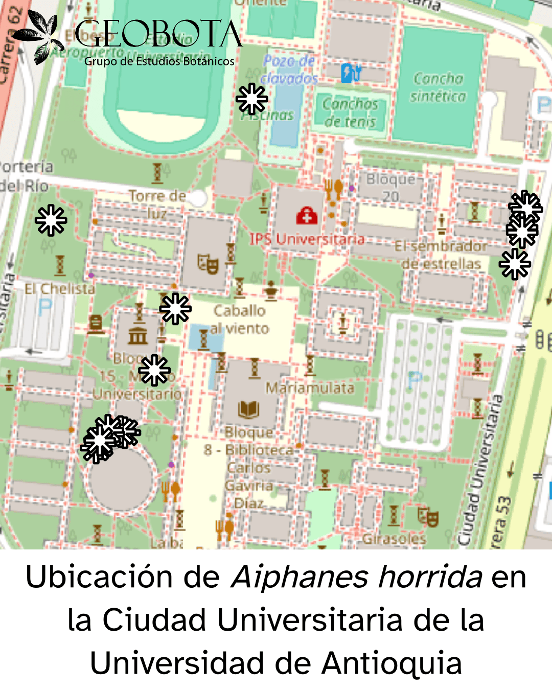 Mapa que muestra la ubicación de Aiphanes horrida. En la esquina superior izquierda aparece el logo de GEOBOTA y en la parte inferior dice «Ubicación de Aiphanes horrida en la Ciudad Universitaria de la Universidad de Antioquia».